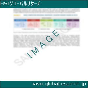 グローバルリサーチ調査レポートのイメージ